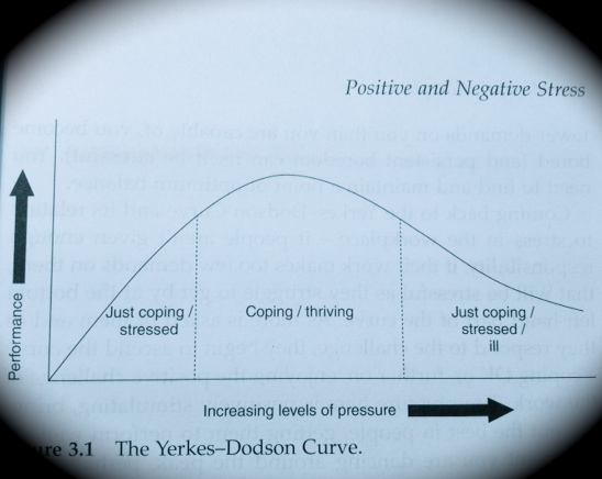 Yerkes-Dodson Curve